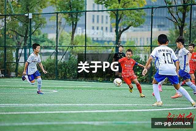 关于PG